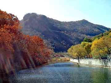 澳门二四六天天彩图库，孙守刚 背景